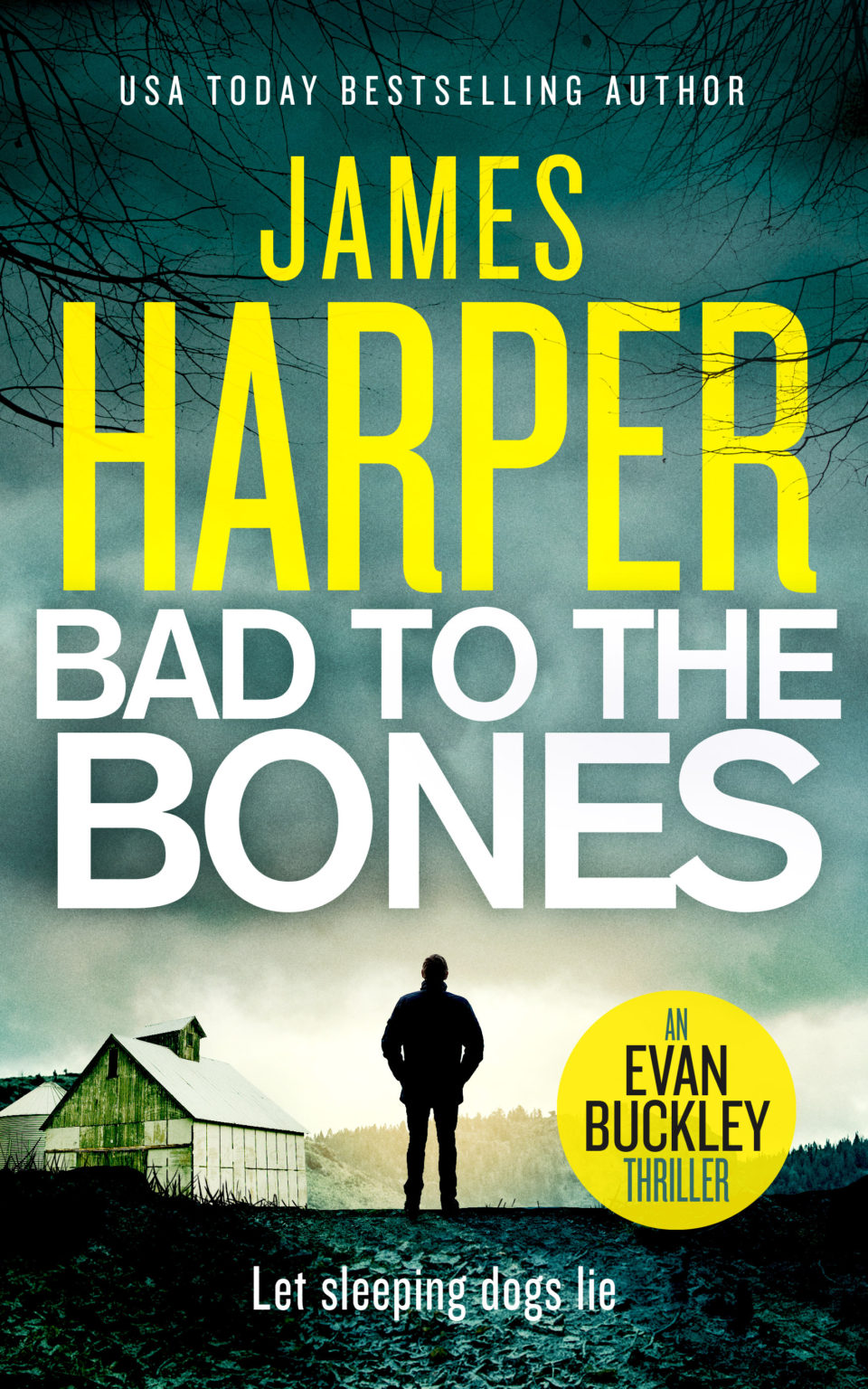 Bad To The Bones – James Harper